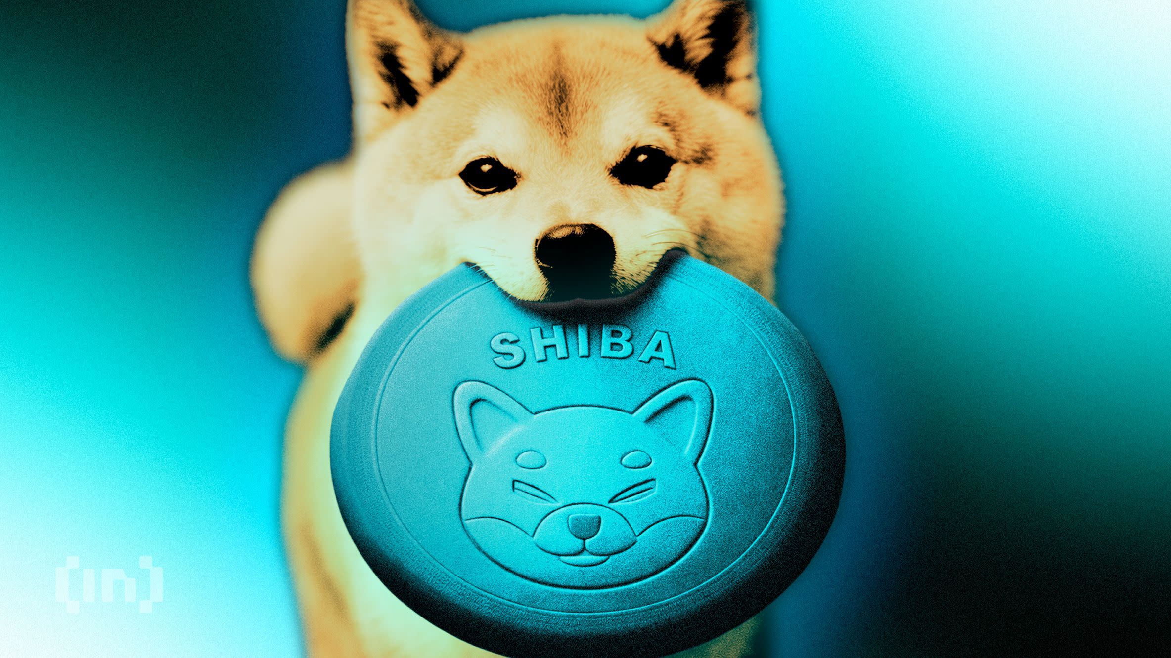 持有SHIBA代币符号的柴犬,代表Meme币文化和加密货币热潮